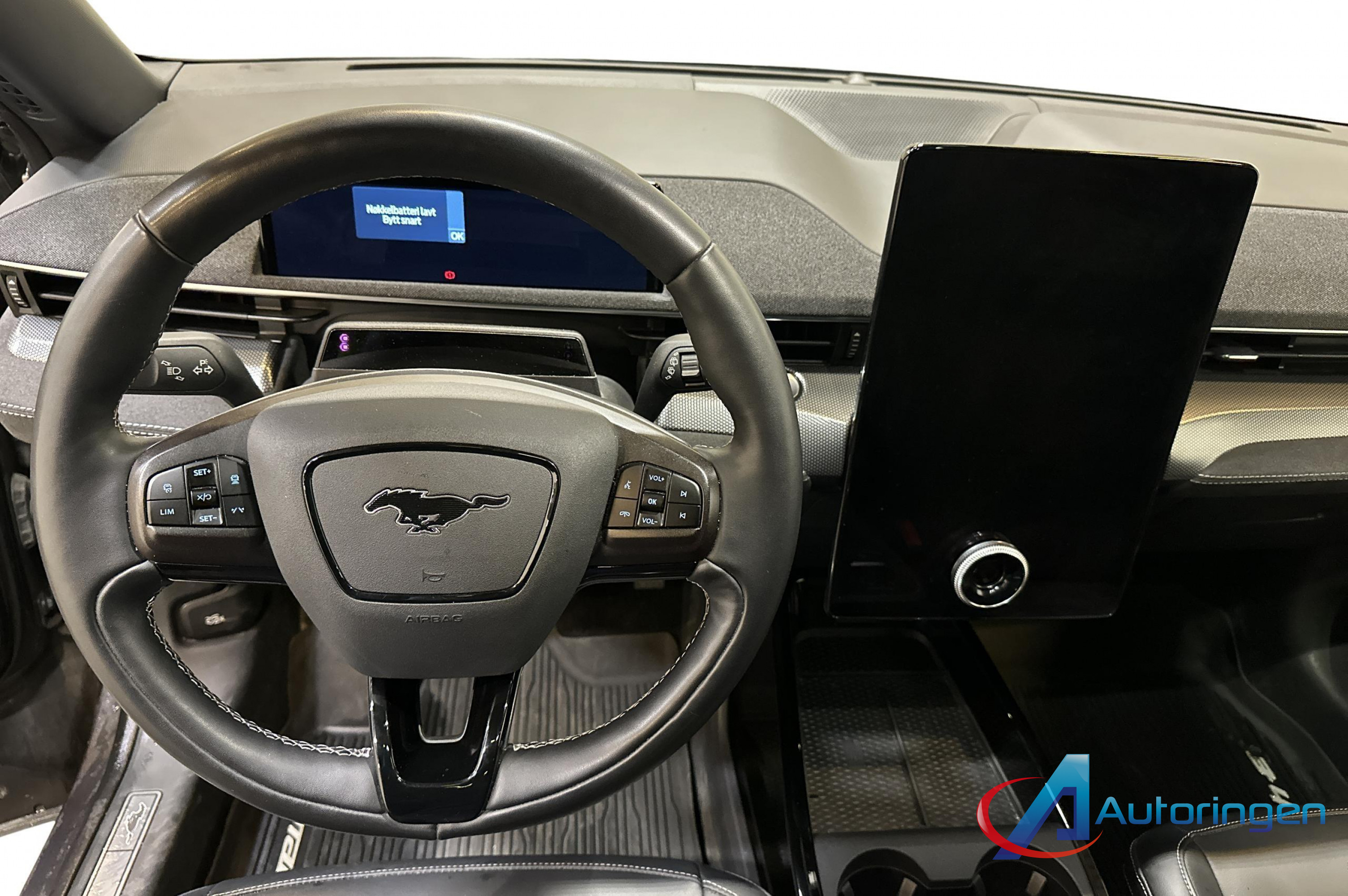 Ford MUSTANG 2022, электро — фото 8 из 16